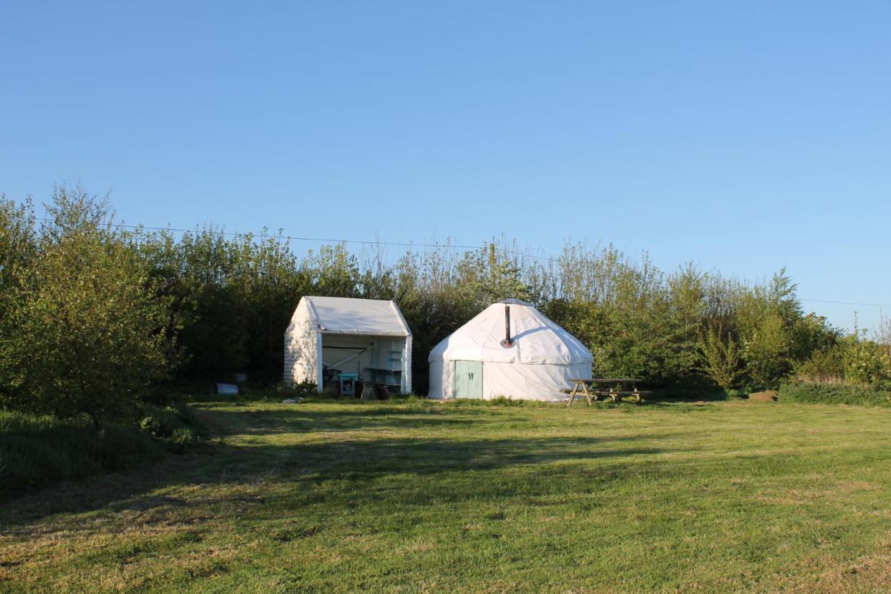 Mill Haven Place Glamping Yurt 3 ハバーフォードウェスト エクステリア 写真