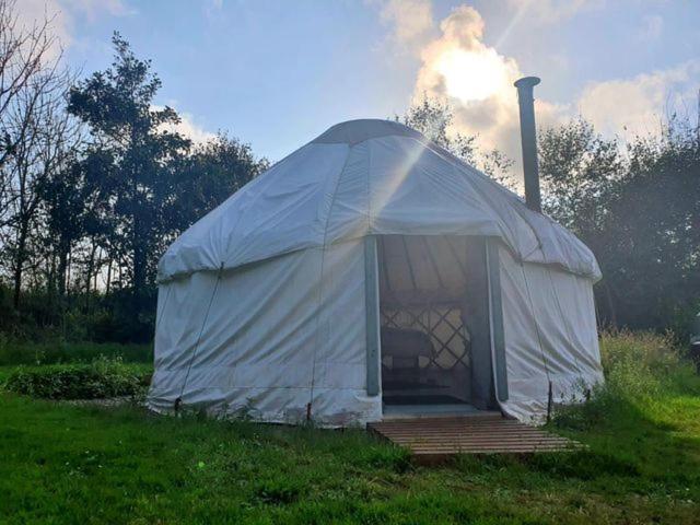 Mill Haven Place Glamping Yurt 3 ハバーフォードウェスト エクステリア 写真