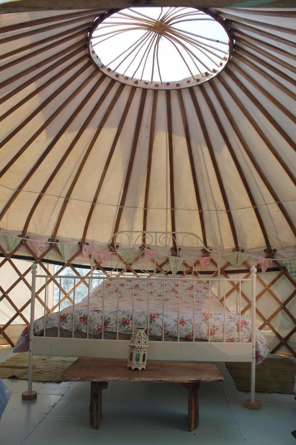 Mill Haven Place Glamping Yurt 3 ハバーフォードウェスト エクステリア 写真