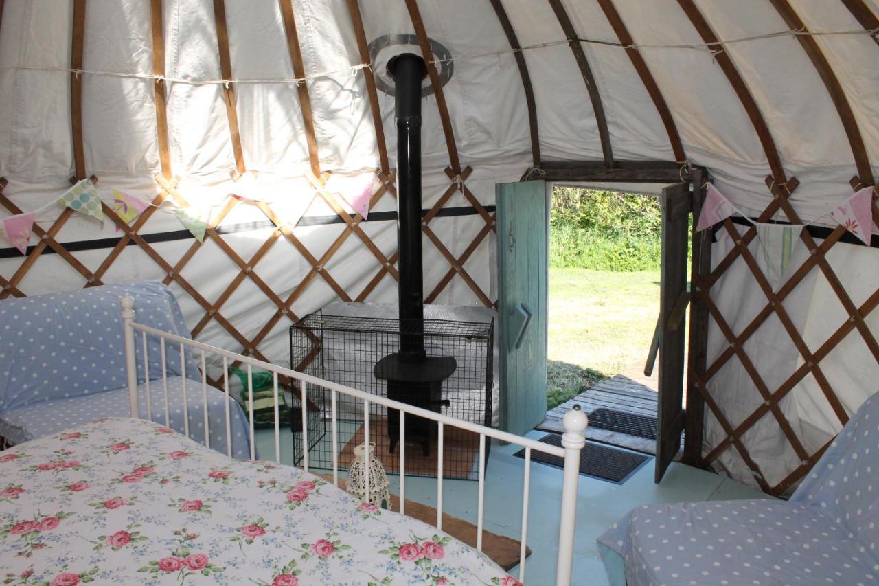 Mill Haven Place Glamping Yurt 3 ハバーフォードウェスト エクステリア 写真