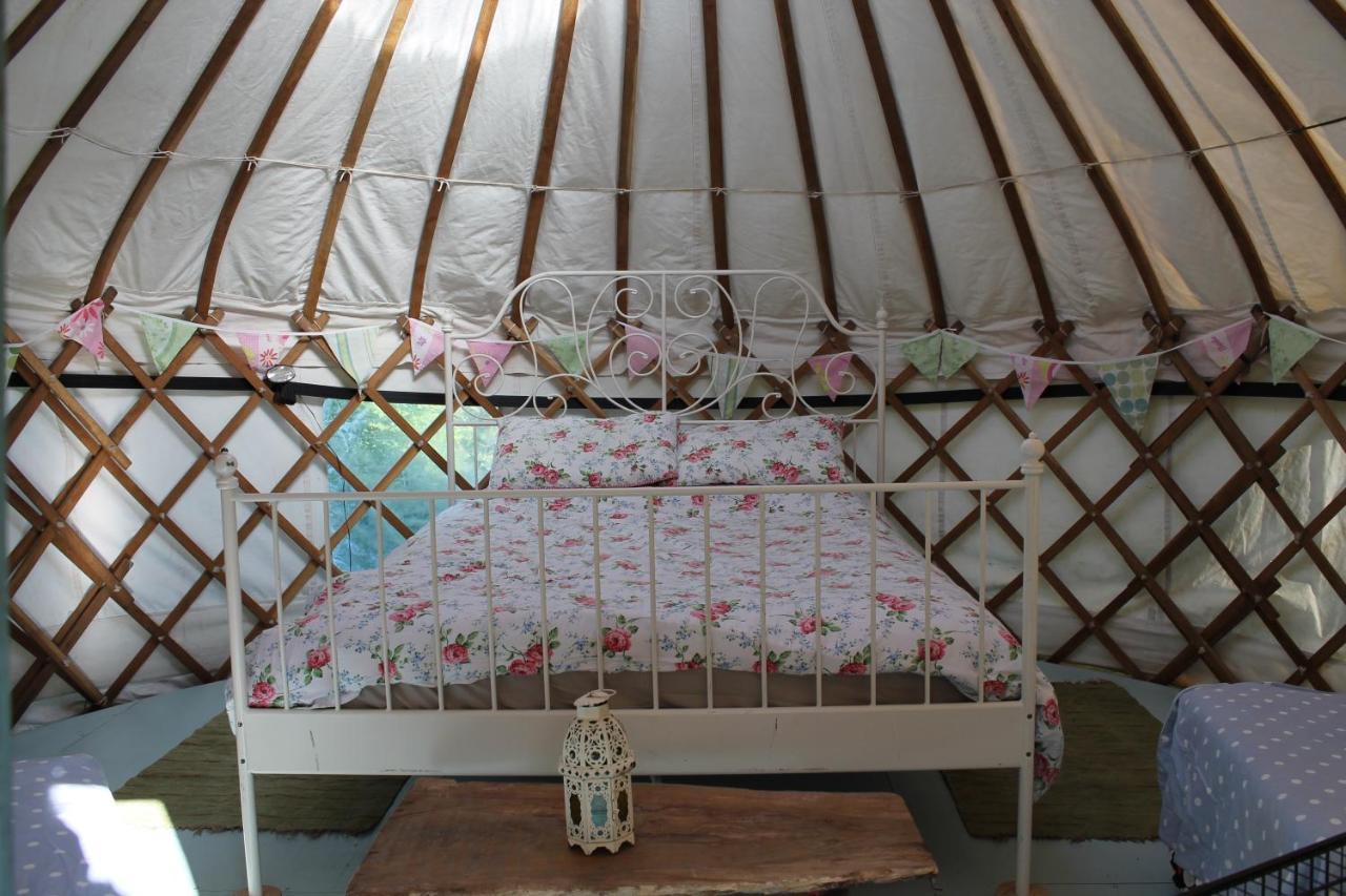 Mill Haven Place Glamping Yurt 3 ハバーフォードウェスト エクステリア 写真